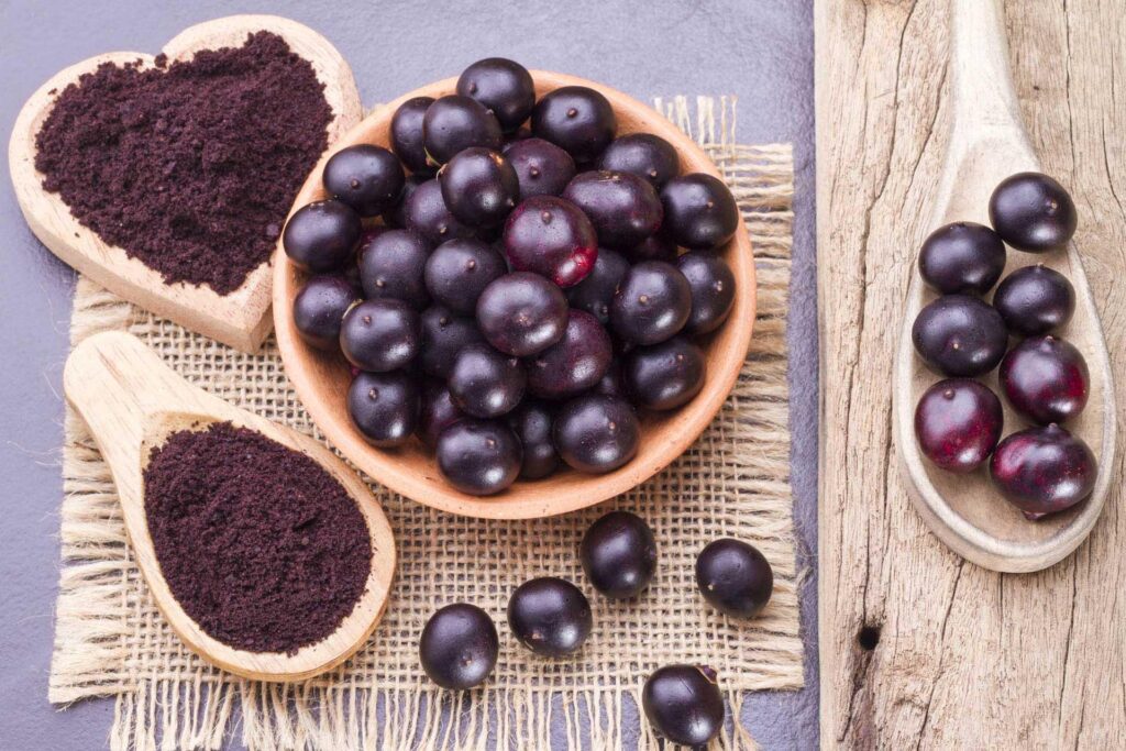bacche di acai, il frutto dalle proprietĂ antiossidanti